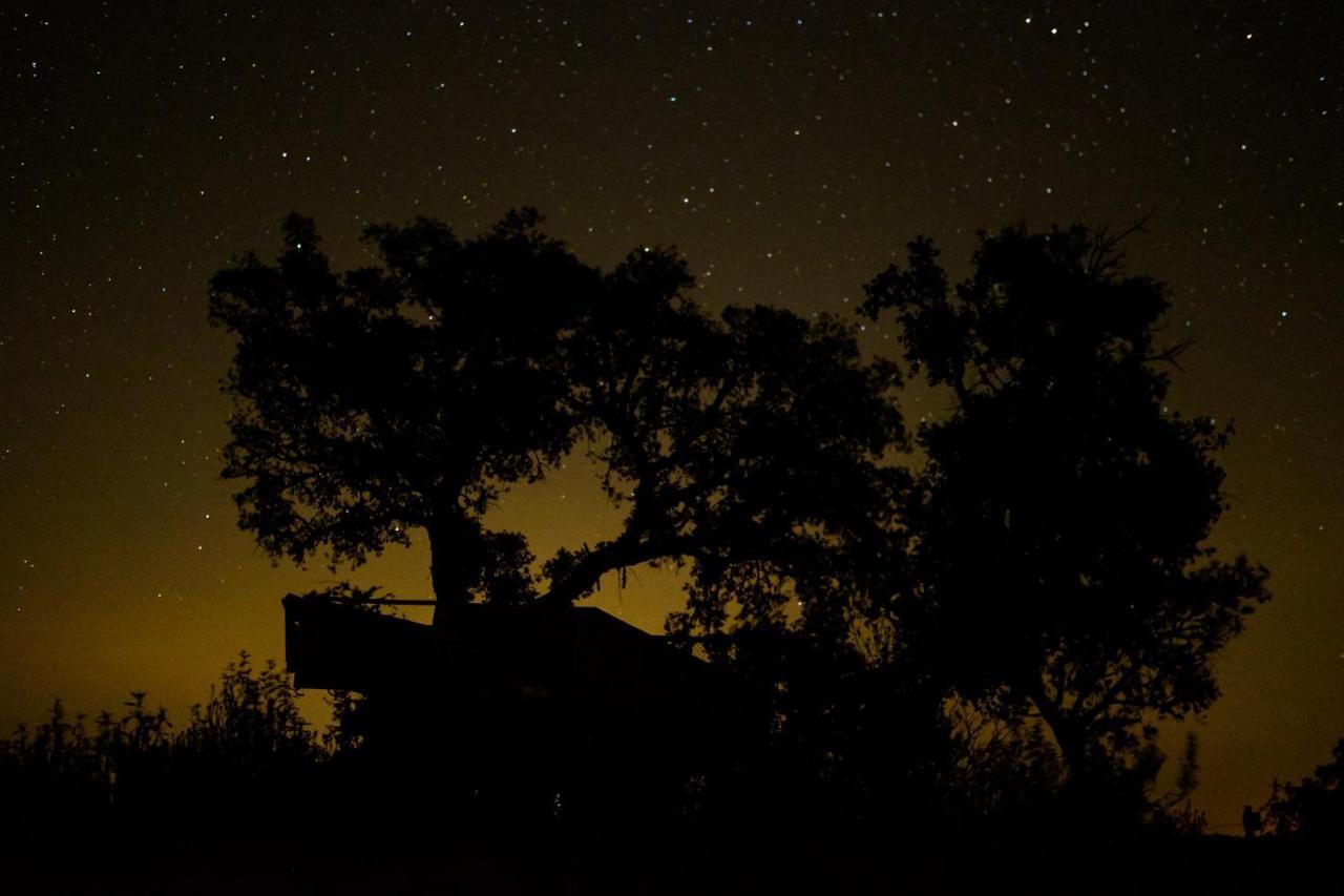 Herdade Do Rio Torto بورتيل المظهر الخارجي الصورة