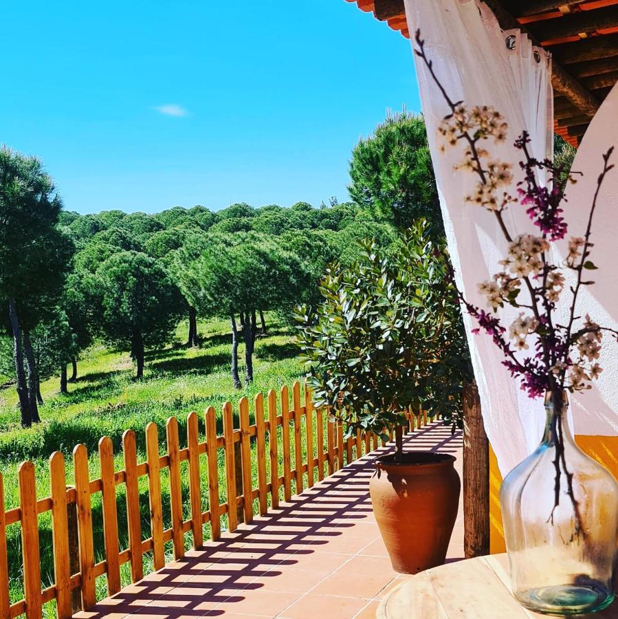 Herdade Do Rio Torto بورتيل المظهر الخارجي الصورة