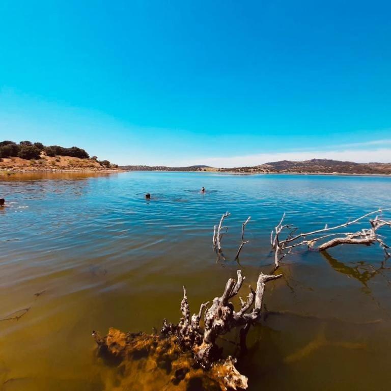 Herdade Do Rio Torto بورتيل المظهر الخارجي الصورة
