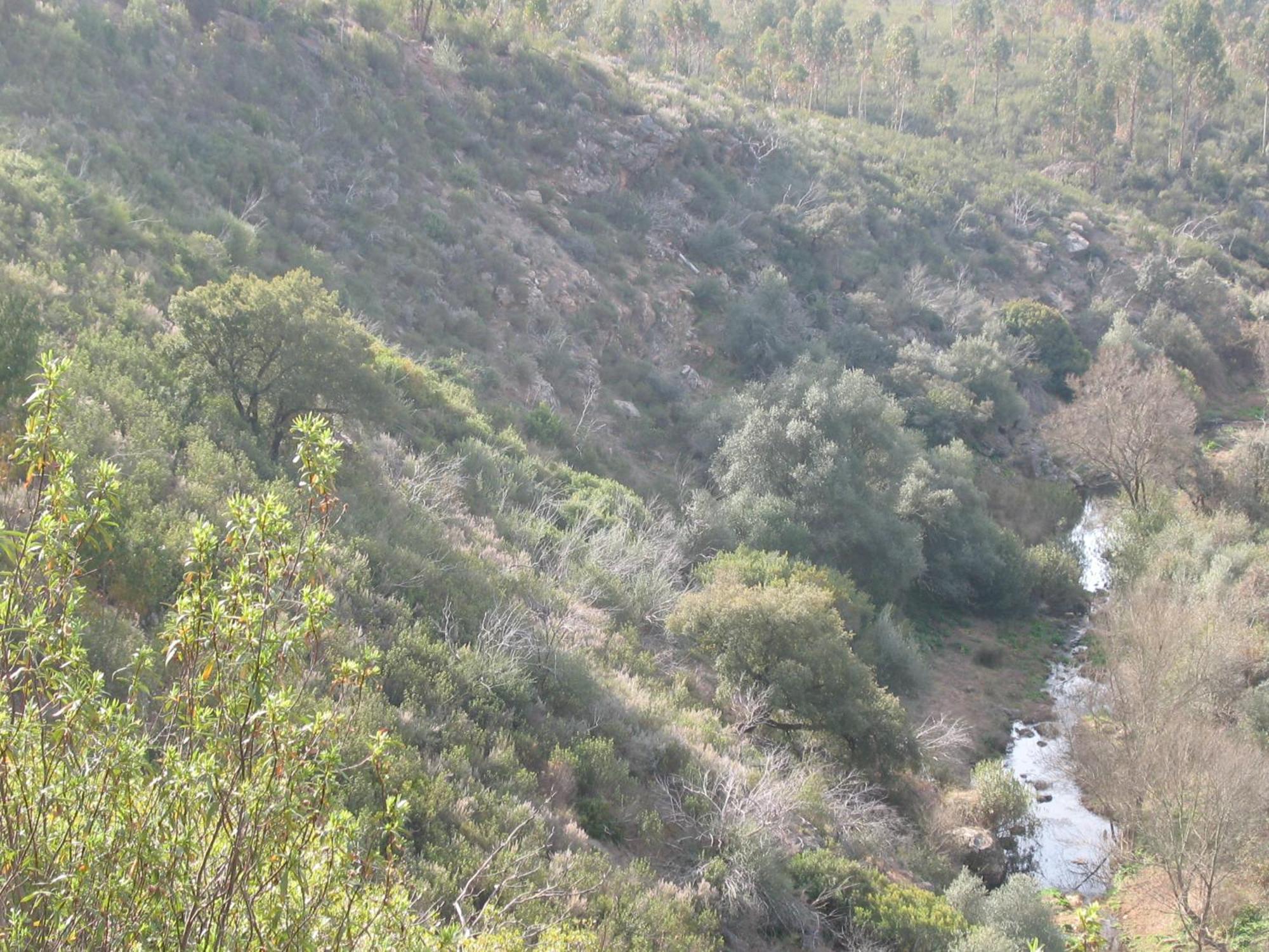 Herdade Do Rio Torto بورتيل المظهر الخارجي الصورة
