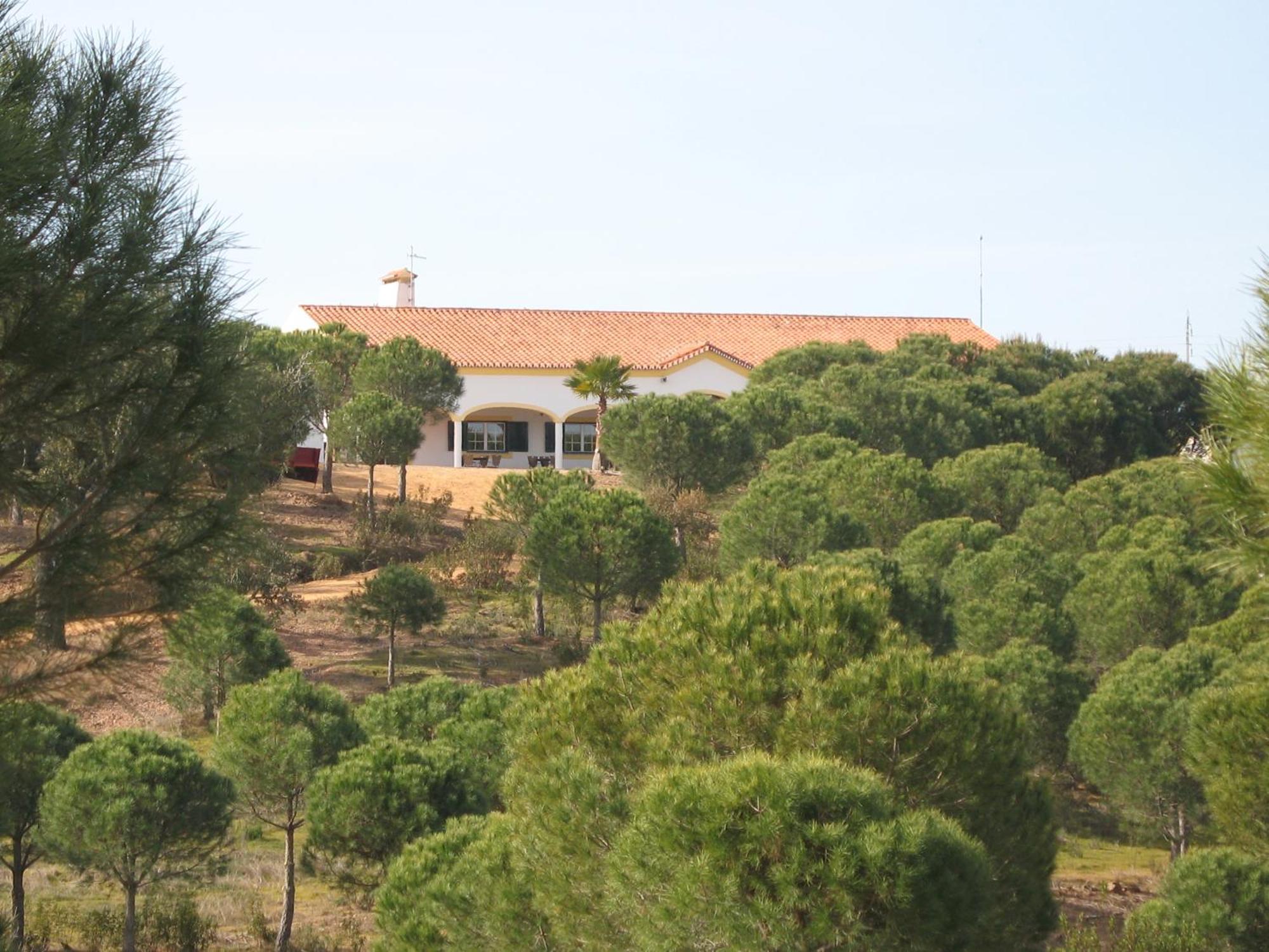 Herdade Do Rio Torto بورتيل المظهر الخارجي الصورة