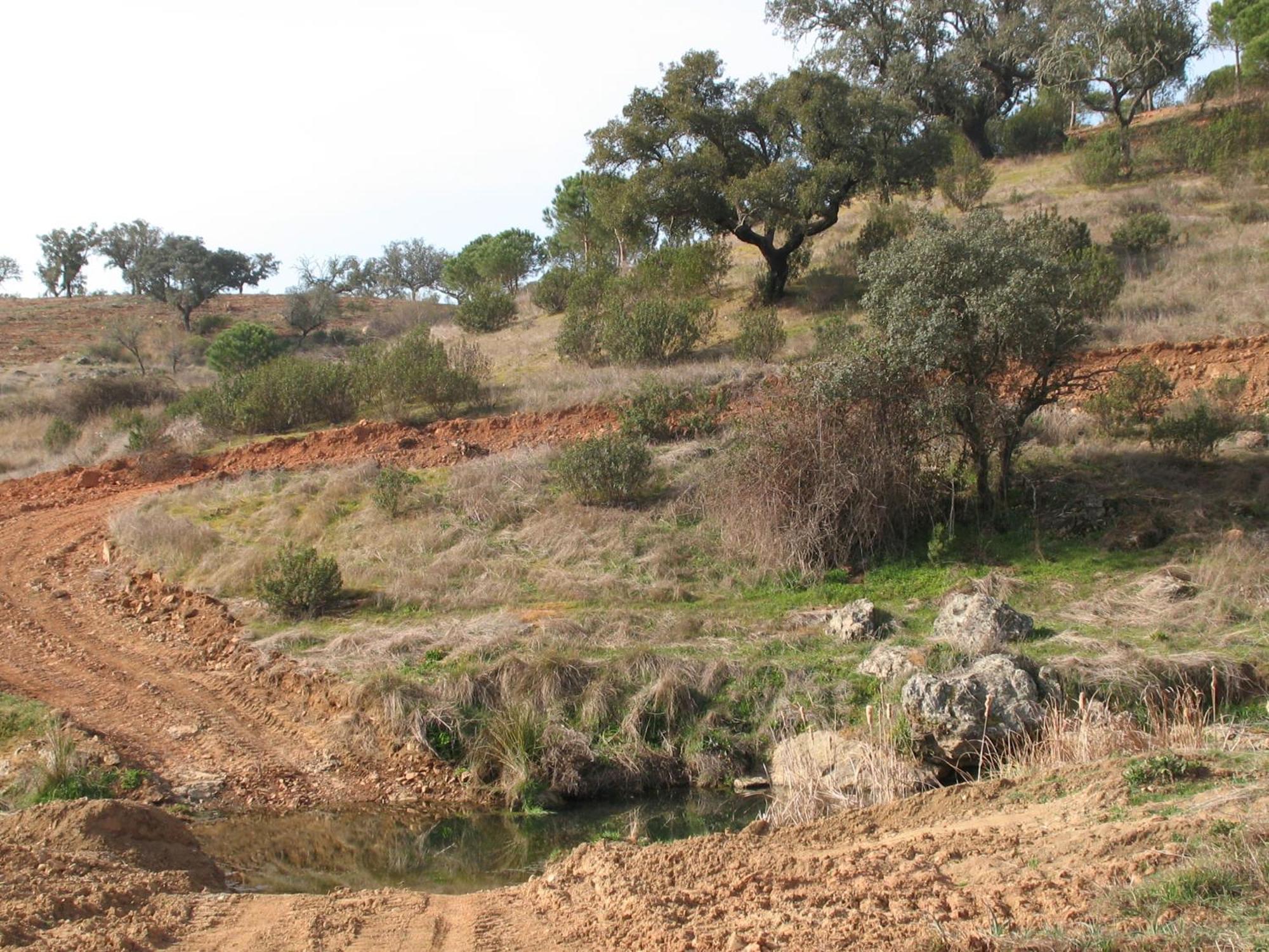 Herdade Do Rio Torto بورتيل المظهر الخارجي الصورة