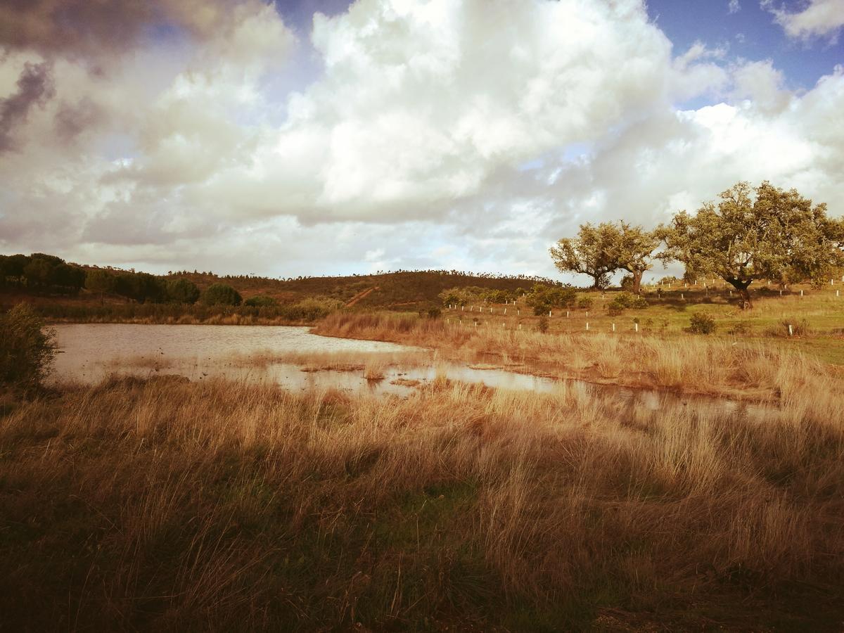 Herdade Do Rio Torto بورتيل المظهر الخارجي الصورة