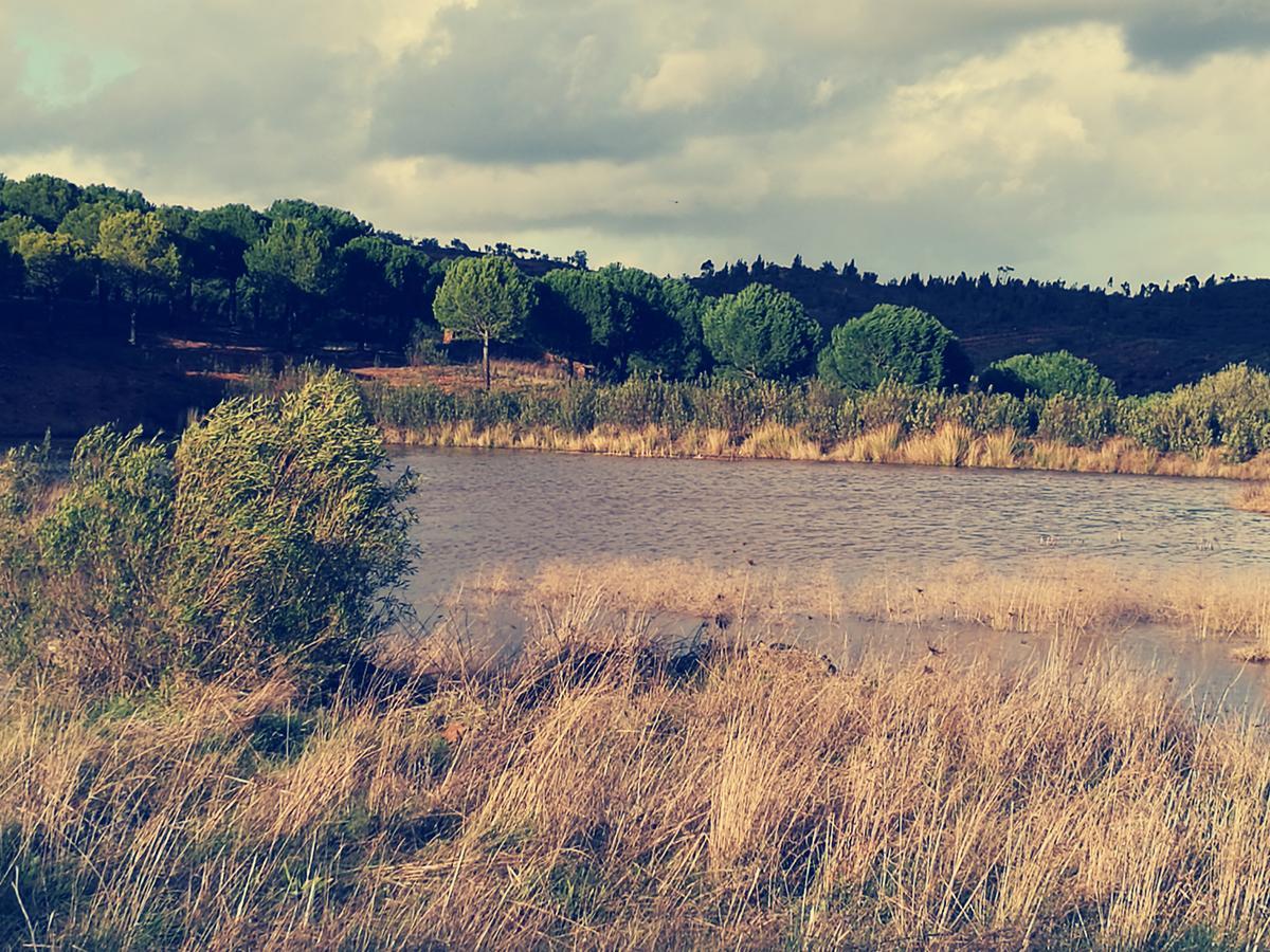 Herdade Do Rio Torto بورتيل المظهر الخارجي الصورة