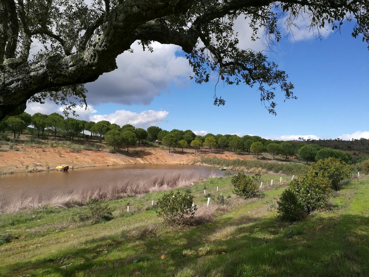 Herdade Do Rio Torto بورتيل المظهر الخارجي الصورة