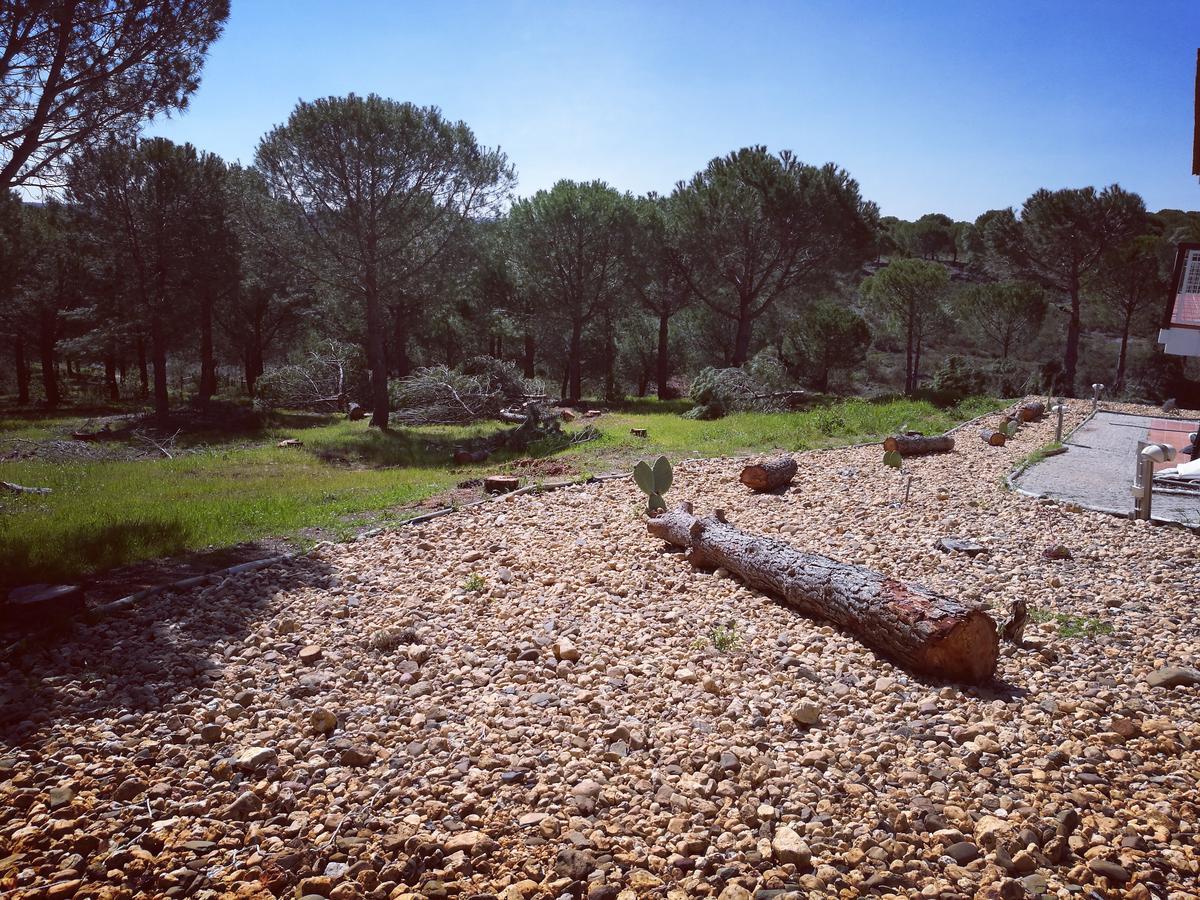 Herdade Do Rio Torto بورتيل المظهر الخارجي الصورة